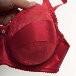 Luxry Lace Breast Form Pocket Bra -0