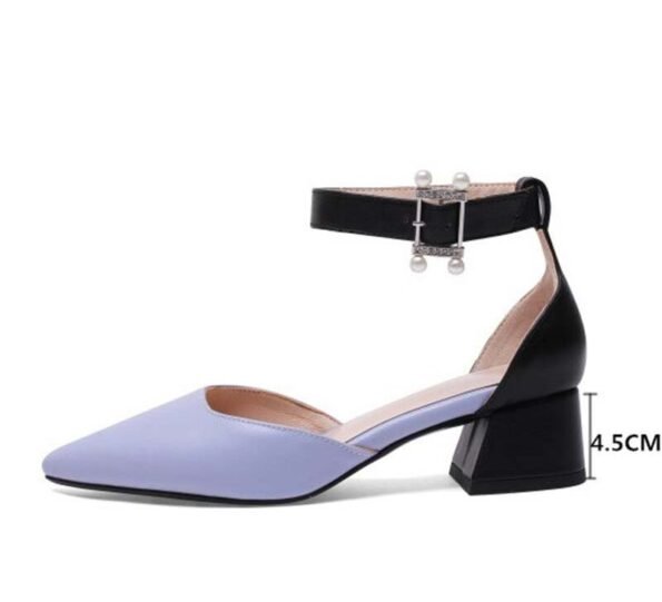 2 Inch Chunky Square Ankle Strap Pointed Toe Sandal-1481