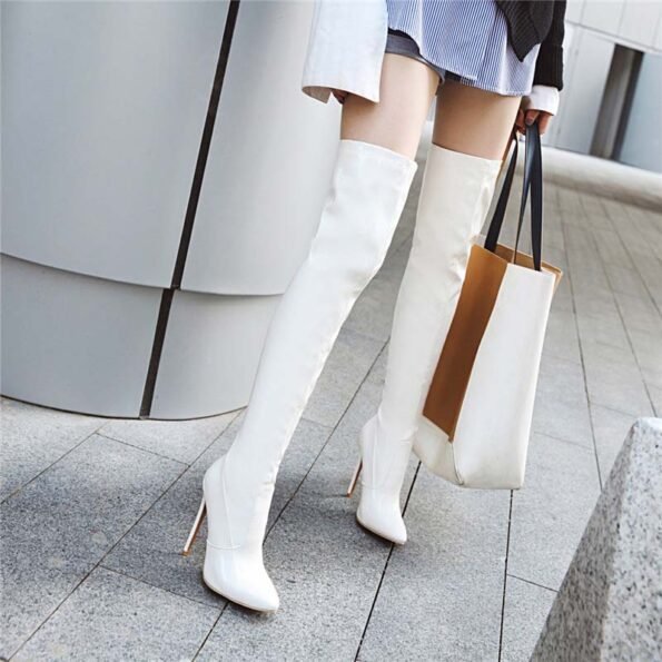 4.7 Inch Over-the-kneePointed Toe Boot-2658