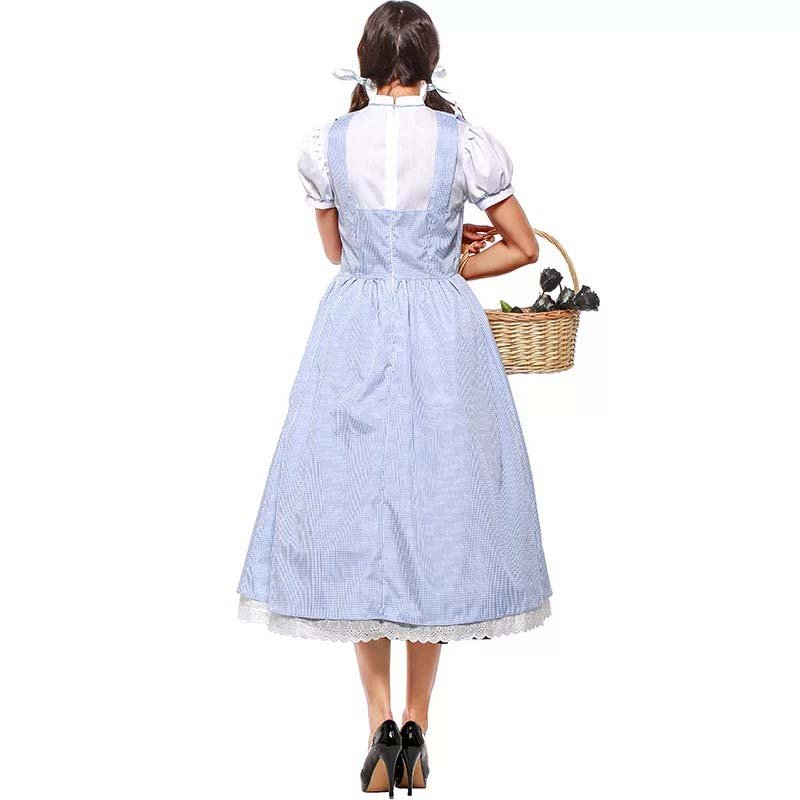 Dorothy The Wizard Of Oz  Fancy Suspender Fairy Tale And Magic Dress