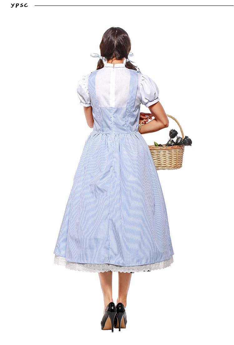 Dorothy The Wizard Of Oz  Fancy Suspender Fairy Tale And Magic Dress