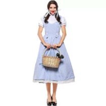 Dorothy The Wizard Of Oz Fancy Suspender Fairy Tale And Magic Dress-0