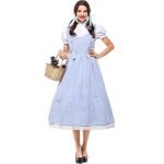 Dorothy The Wizard Of Oz  Fancy Suspender Fairy Tale And Magic Dress-0