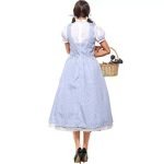 Dorothy The Wizard Of Oz  Fancy Suspender Fairy Tale And Magic Dress-0