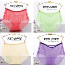 4Pcs Temptation Lace Transparent Yarn Briefs Low-Rise Panty-0