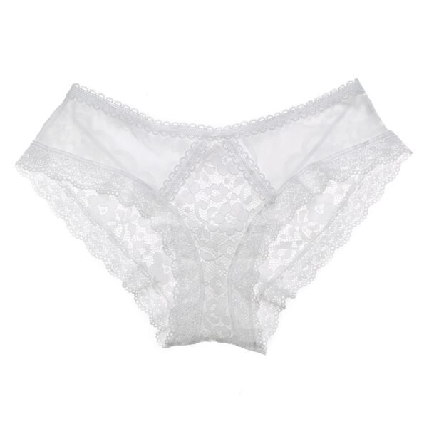 Floral Embroidered Lace Hollow Out Panty-9904