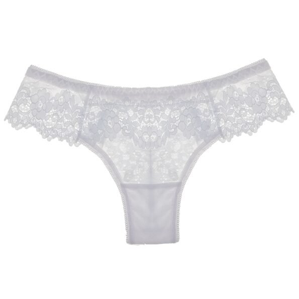 Hollow Out Lace Embroidery Seamless Panty-10501