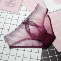 Lace Bow Sweet Transparent Breathable Cute Panty-0