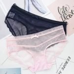 Lace Flora Cotton Mesh Transparent Panty-0