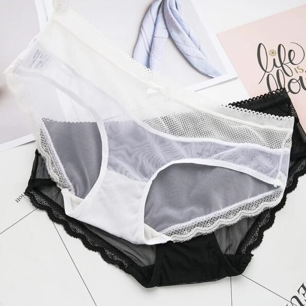 Lace Flora Cotton Mesh Transparent Panty-10912