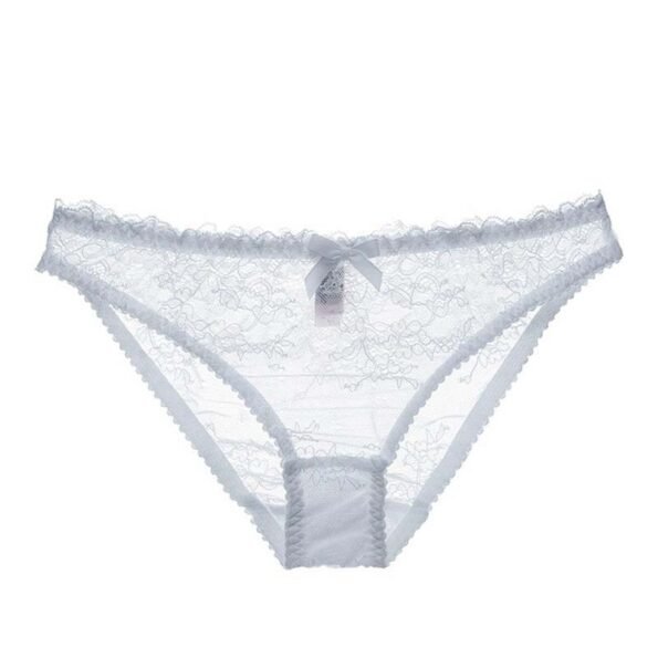 Lace Hollow Underwear Low-Rise Transparent Florals Panties-0