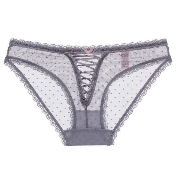 Lace Transparent Cute Hollow Out Seamless Panty-11511