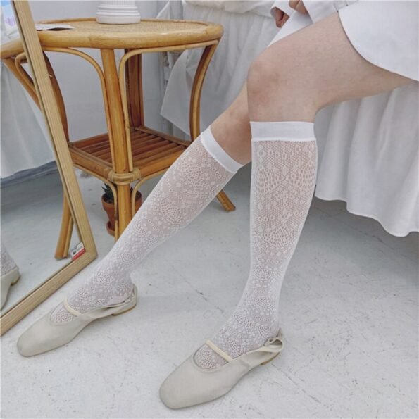 Lolita Lace Mesh High Knee Transparent Socks-0